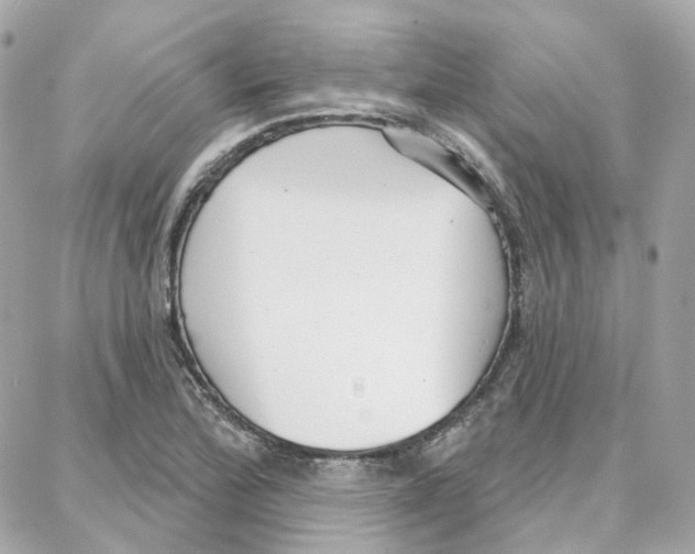 X0000087741172200706041029