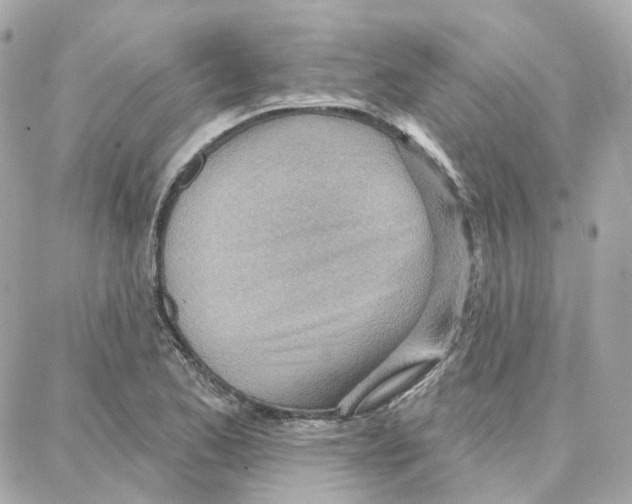 X0000087741173200706041029