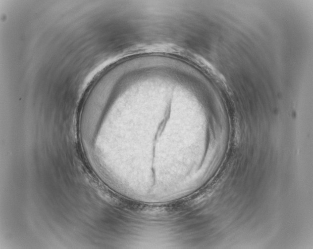 X0000087741174200706041029