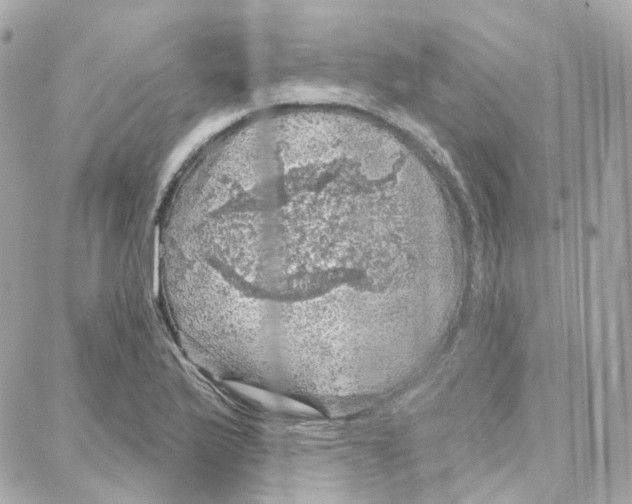 X0000087741175200706041029