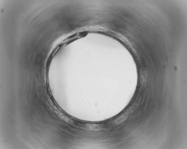 X0000087741176200706041029