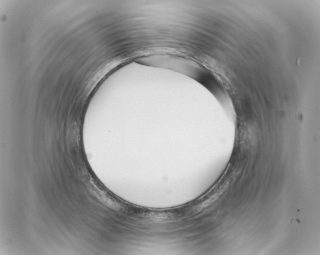 X0000087741177200706041029