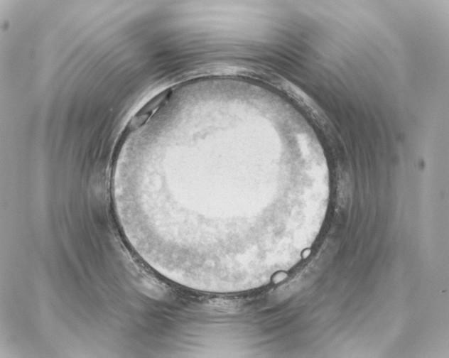 X0000087741178200706041029