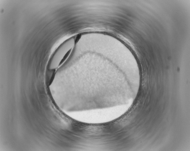 X0000087741179200706041029