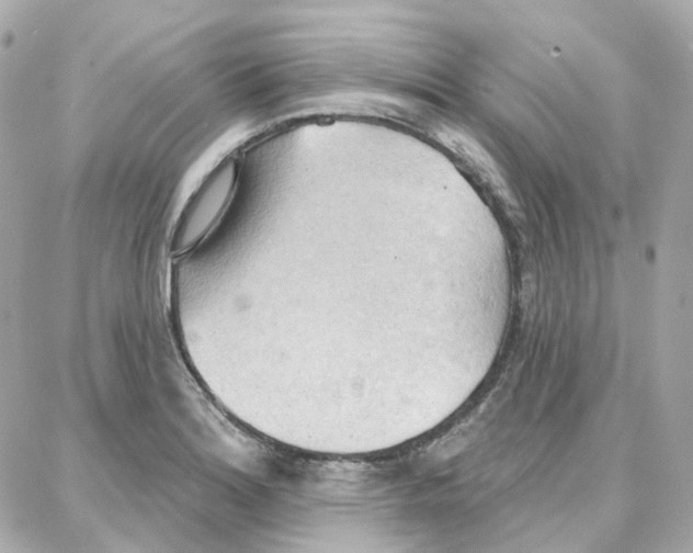 X0000087741180200706041029