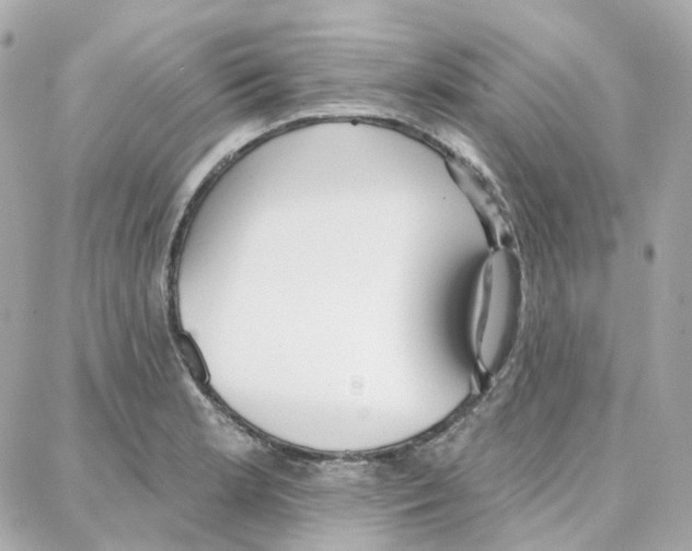 X0000087741181200706041029