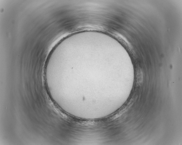 X0000087741182200706041029