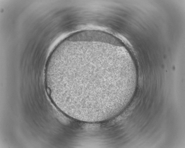 X0000087741183200706041029