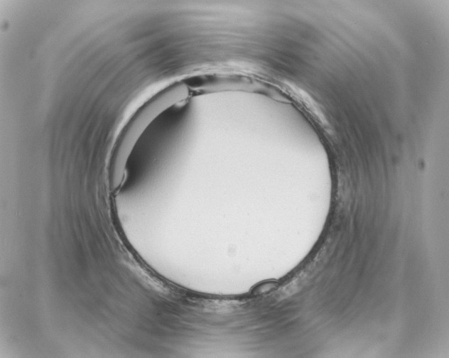 X0000087741184200706041029