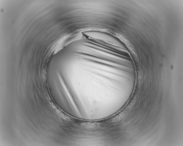 X0000087741185200706041029