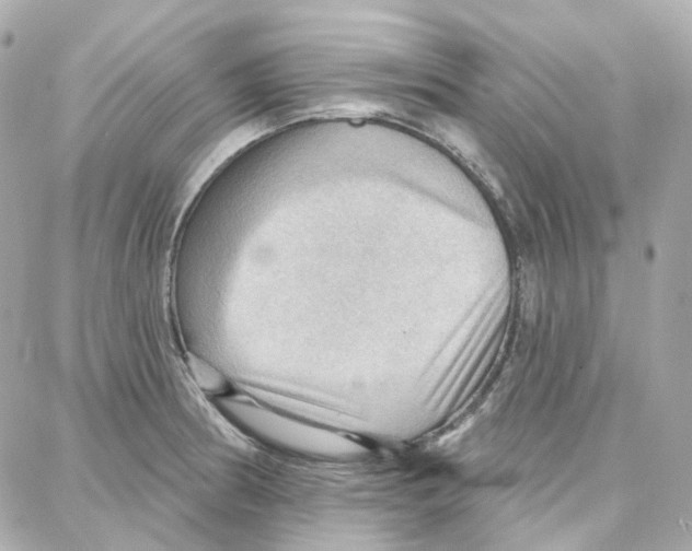 X0000087741186200706041029