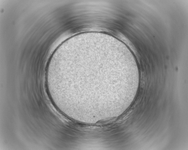 X0000087741187200706041029