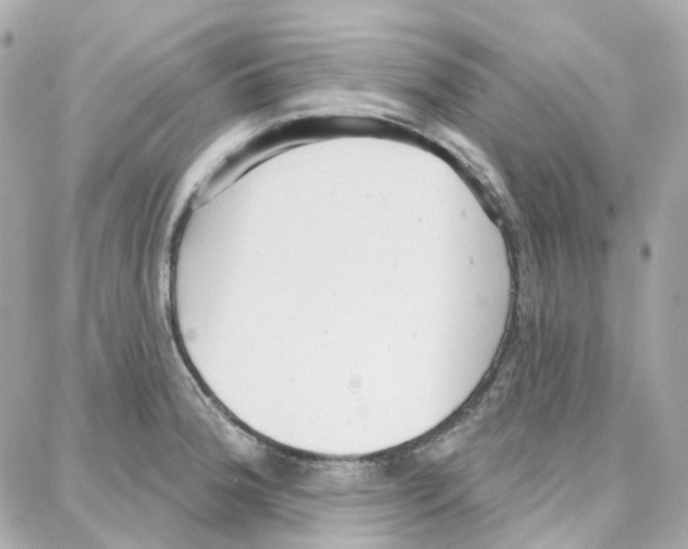 X0000087741188200706041029