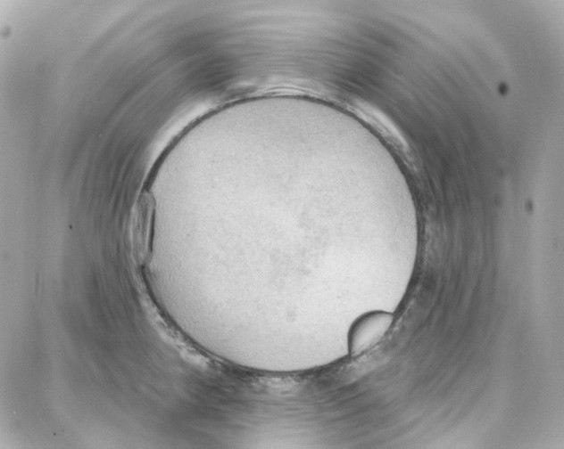 X0000087741190200706041029