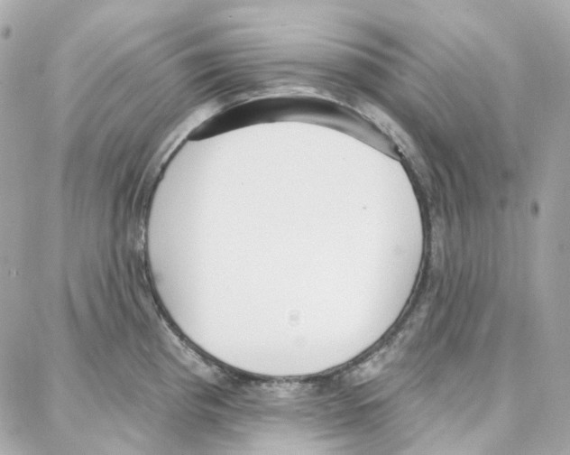 X0000087741193200706041029