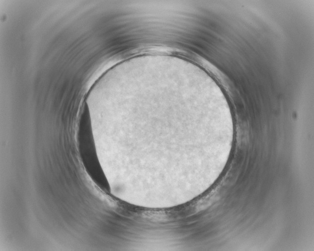 X0000087741194200706041029