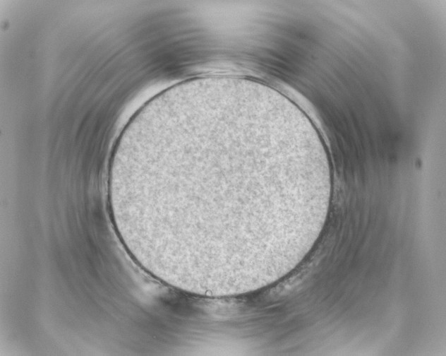 X0000087741195200706041029