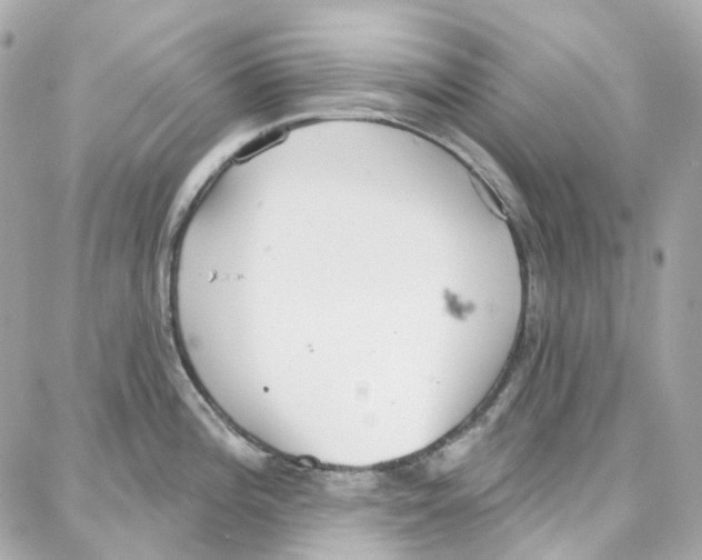 X0000087741196200706041029