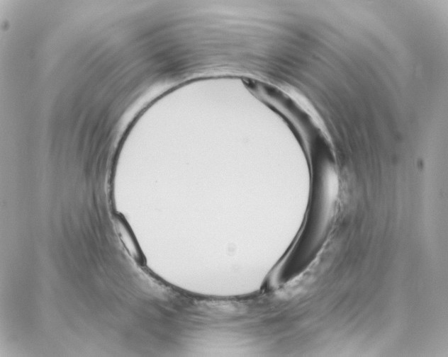 X0000087741197200706041029