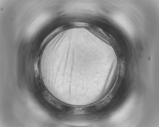 X0000087741198200706041029