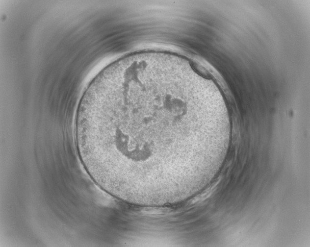 X0000087741199200706041029