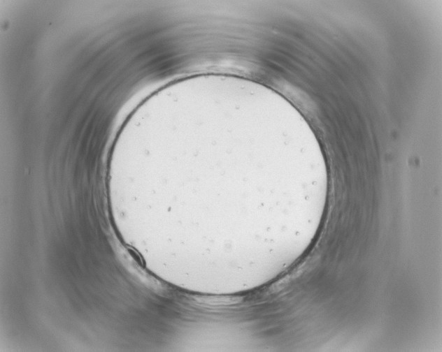 X0000087741200200706041029