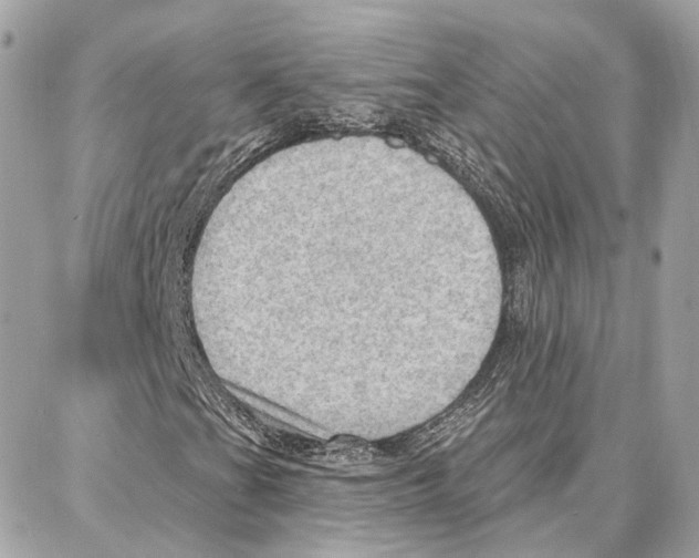 X0000087741201200706041028