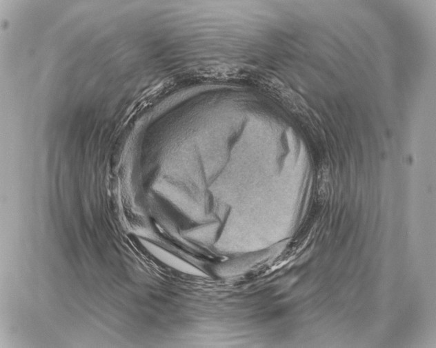 X0000087741202200706041028