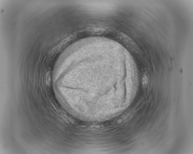 X0000087741204200706041028