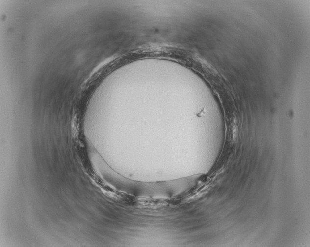 X0000087741206200706041028