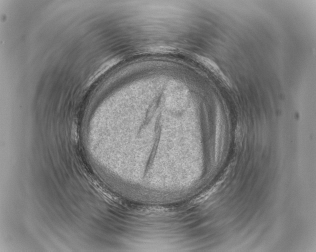 X0000087741209200706041028