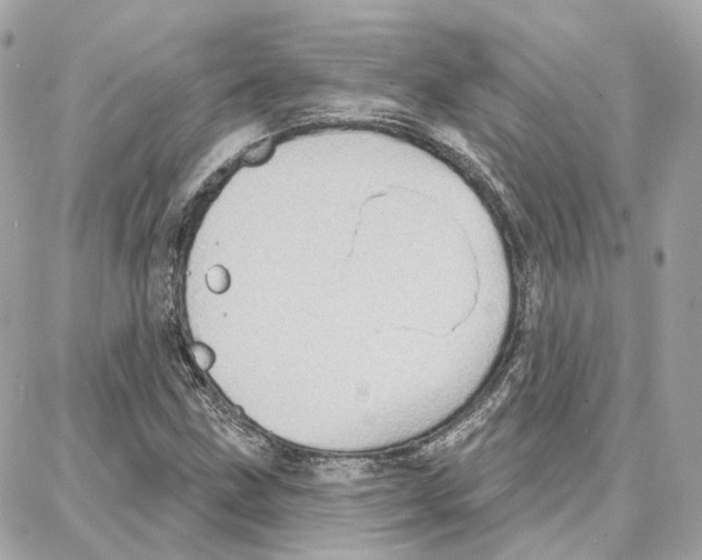 X0000087741211200706041028