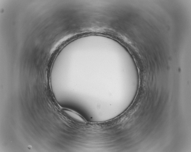 X0000087741214200706041028