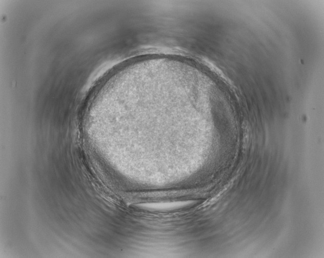 X0000087741215200706041028