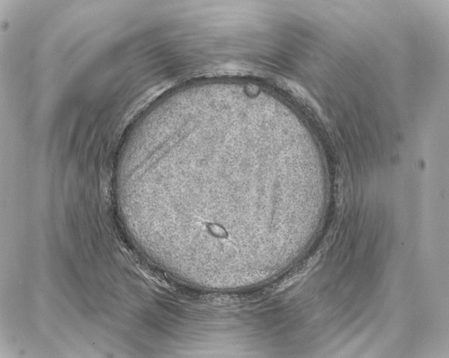 X0000087741217200706041028