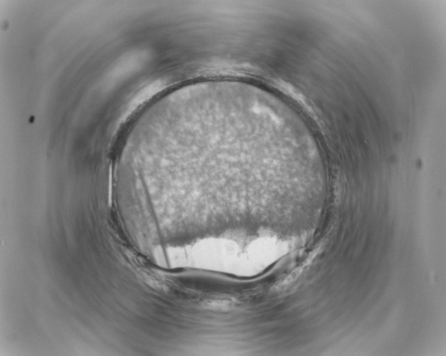 X0000087741219200706041028