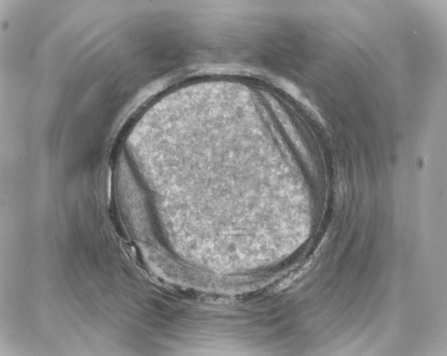 X0000087741221200706041028