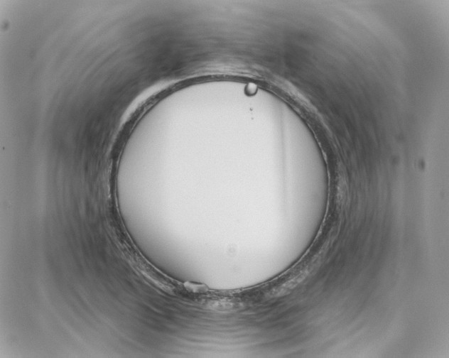 X0000087741222200706041028