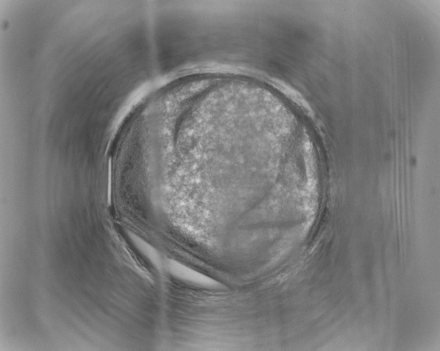 X0000087741223200706041028