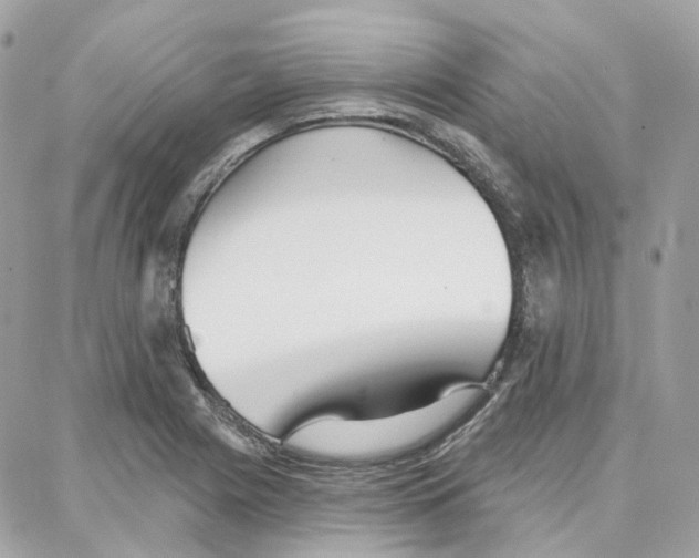 X0000087741225200706041028