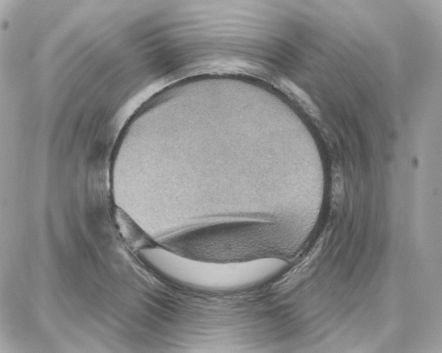 X0000087741226200706041028