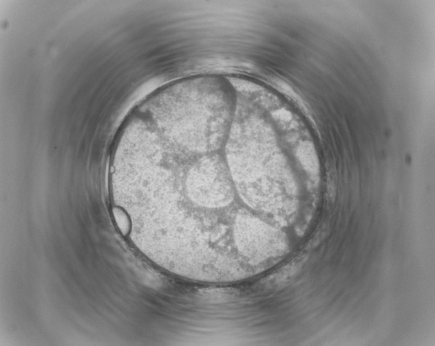 X0000087741227200706041028