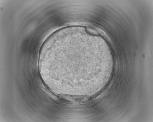 X0000087741228200706041028