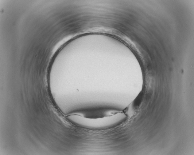 X0000087741230200706041028