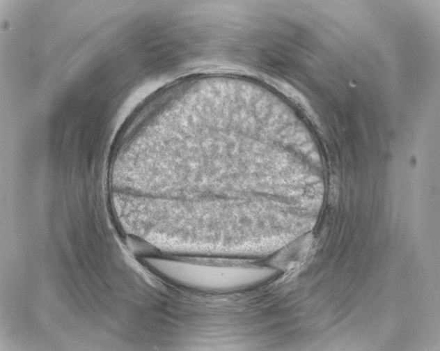 X0000087741231200706041028