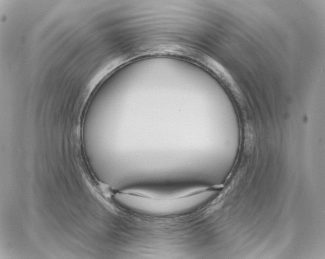 X0000087741234200706041029