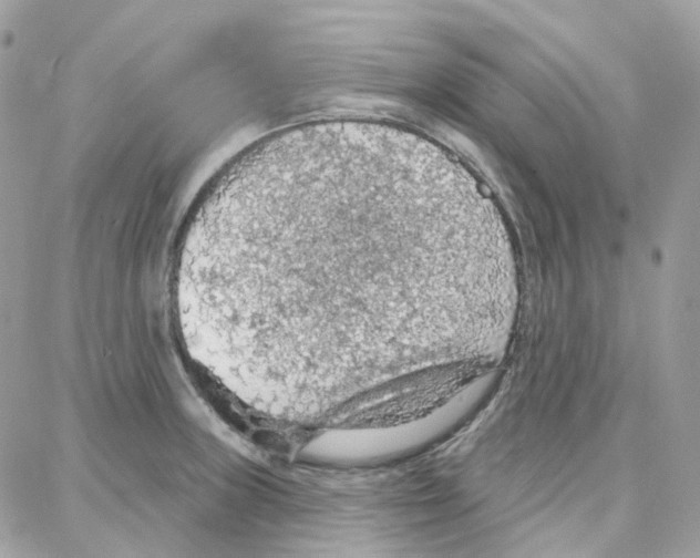 X0000087741235200706041029