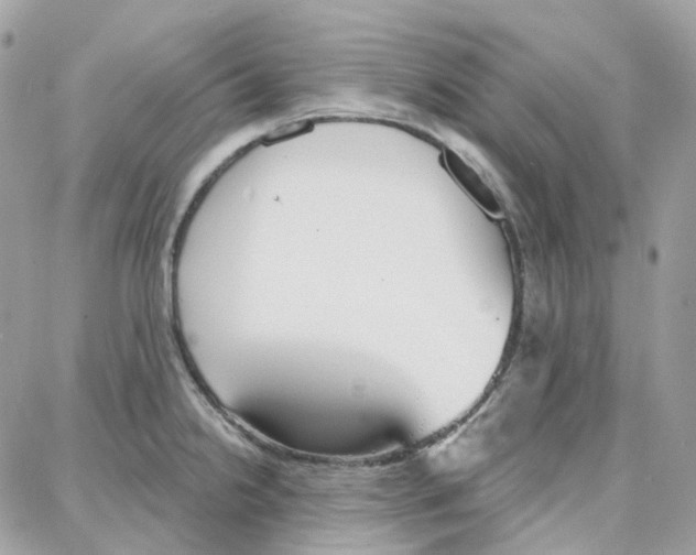 X0000087741238200706041029