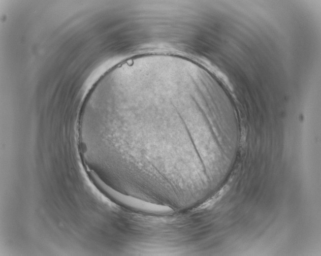 X0000087741239200706041029