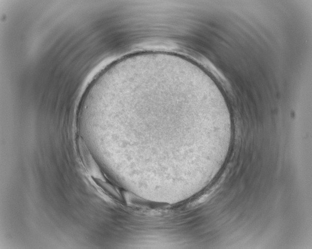 X0000087741240200706041029